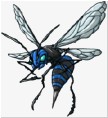 Frost Wasp.jpg